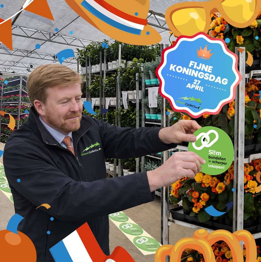 Afbeelding voor categorie Fijne Koningsdag!